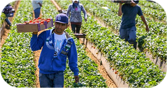 Фото отзыв 1